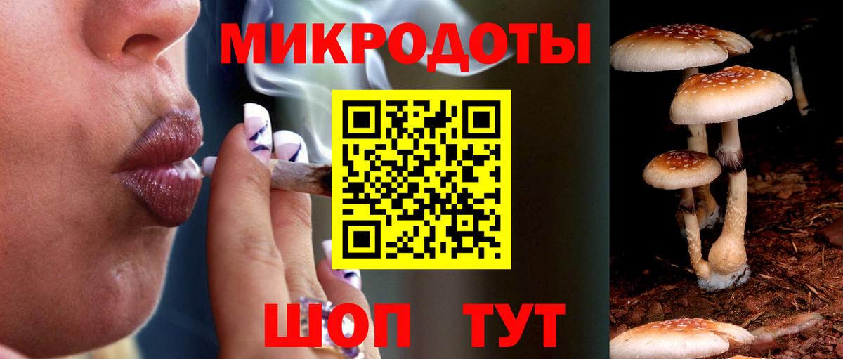Галлюциногенные грибы Psilocybine cubensis Кызыл